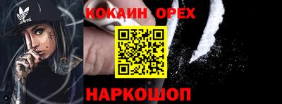 гашик Дубна