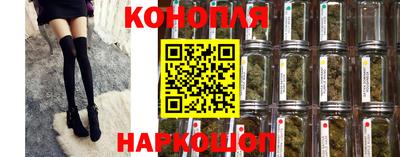 гашик Дубна