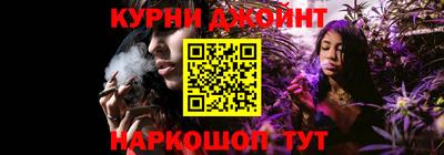 гашик Дубна