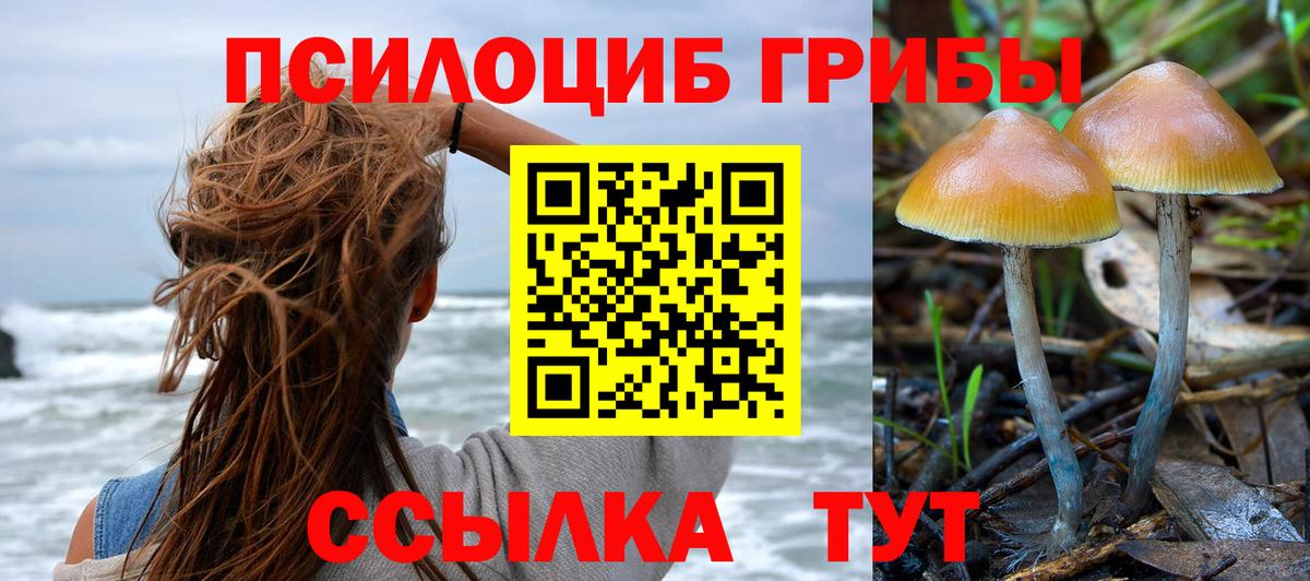 Бузулук  Галлюциногенные грибы прущие грибы  Вход с VPN  Галлюциногенные грибы мухоморы 