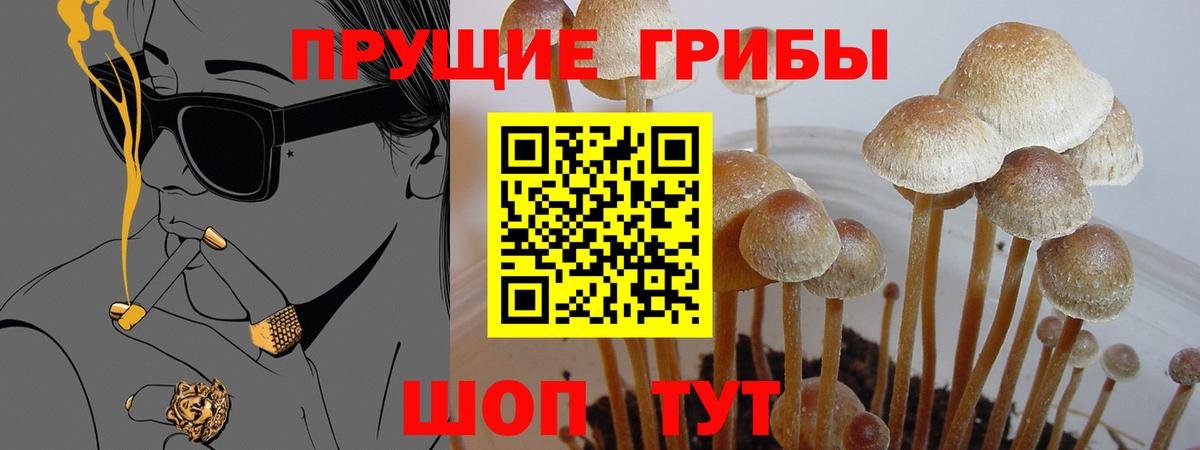 Псилоцибиновые грибы Magic Shrooms Бузулук